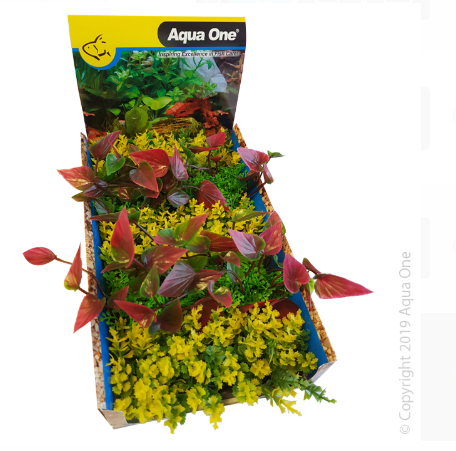 Ecoscape Foreground Catspaw Yl/lilly R Mix Punnet 5pk Dis Box