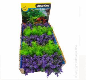 Ecoscape Foreground Catspaw Pu/ambulia GN Mix Punnet