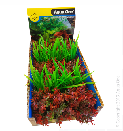 Ecoscape Foreground Catspaw R/lilaeopsis GN Mix Punnet 5pk Dis Box