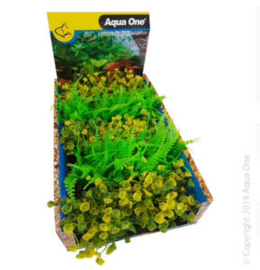 Ecoscape Foreground Ogris Auribus Yl/fern GN Mix Punnet