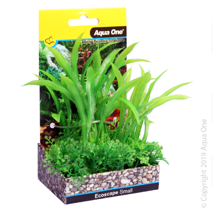 Ecoscape Small Crinum Green