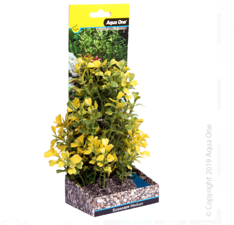 Ecoscape Medium Japanese Box Yellow