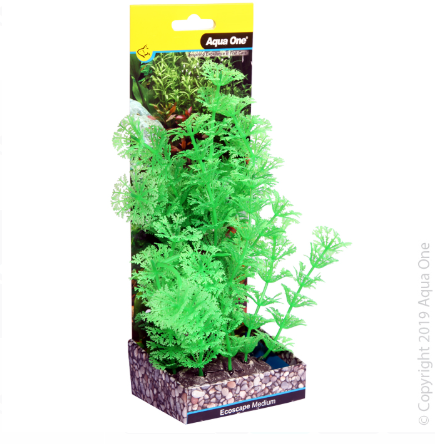 Ecoscape Medium Ambulia Green