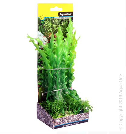 Ecoscape Medium Ruffled Lace Plant Green