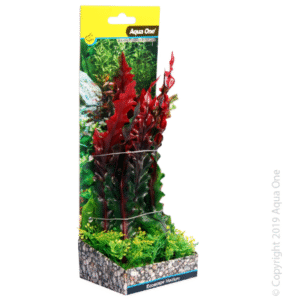 Ecoscape Medium Ruffled Lace Plant Red