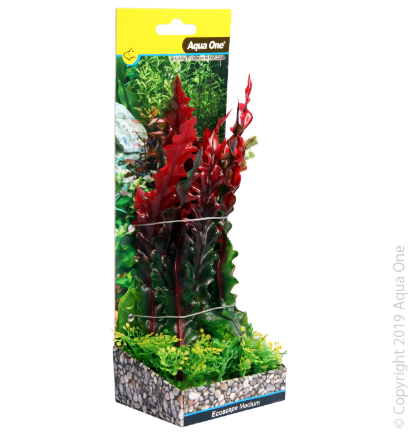 Ecoscape Medium Ruffled Lace Plant Red