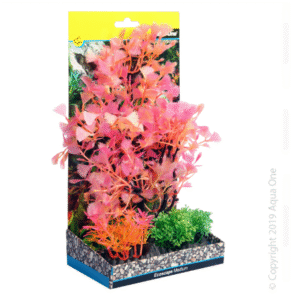 Ecoscape Medium Fan Palm Red