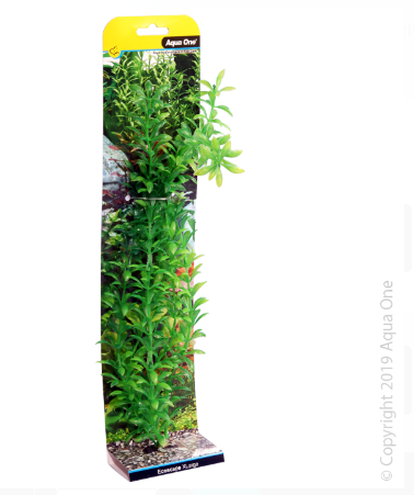 Ecoscape Xlarge Ludwigia Green