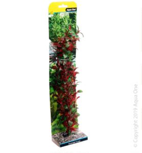 Ecoscape Xlarge Hygro Red