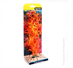 Brightscape Medium Ludwigia Orange