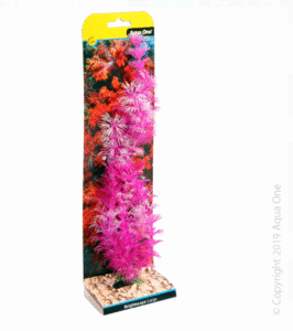 Brightscape Large Ambulia Pink