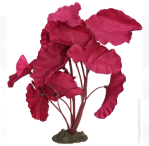 Aqua One Silk Plant - Tiger Lotus Red 20cm