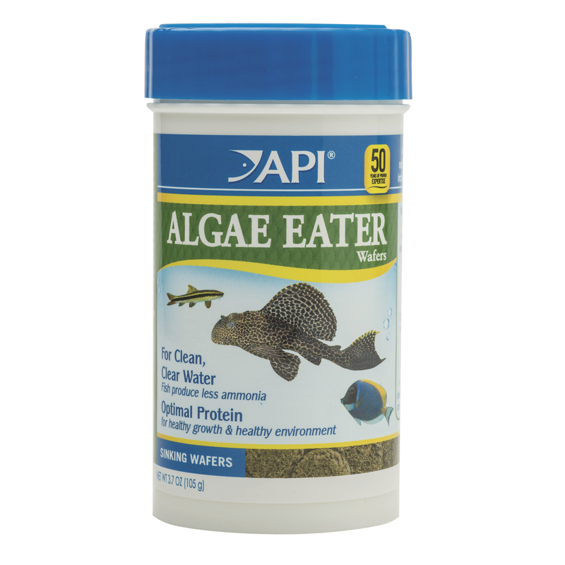 API Algae Eater Wafers 105g ^840B