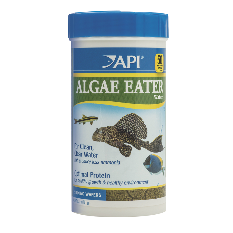 API Algae Eater Wafers 181g ^840C