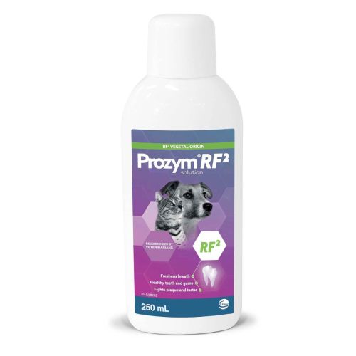 Prozym Dental Solution 250ml