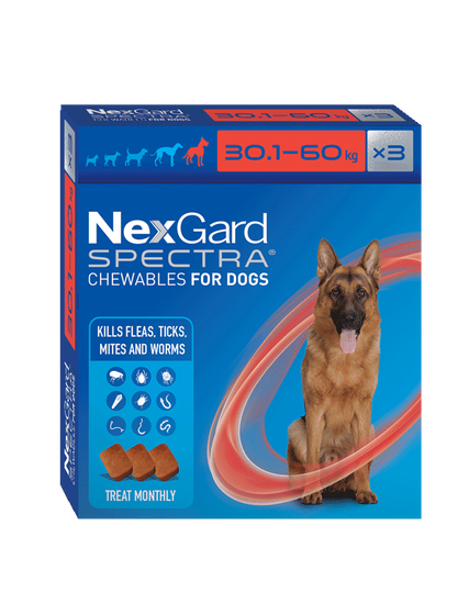 Nexgard Spectra Flea Tick & Worm Chewable 30.1kg-60kg - 3 Pack