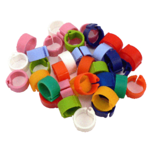 Plastic Leg Ring 8mm - Dove- Each