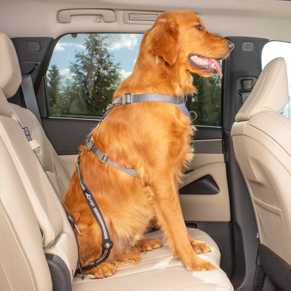 Kurgo Direct to Latch Swivel Car Tether