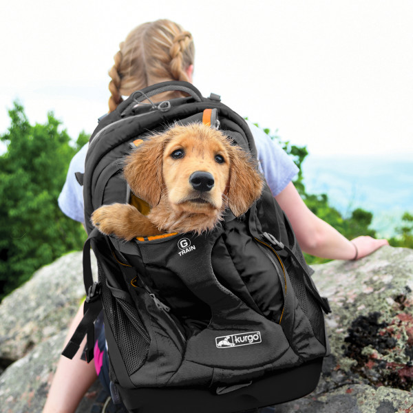 Kurgo G-Train Dog Carrier Backpack – Black
