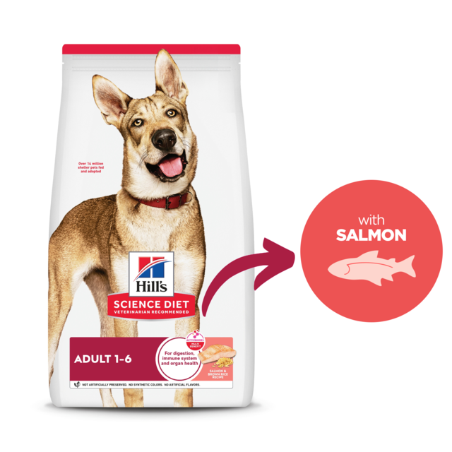 Hill's Science Diet Adult Salmon Dry Dog Food 14.9kg