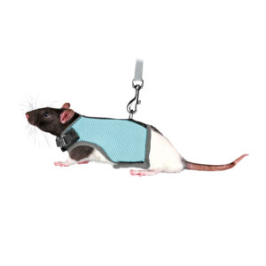 Trixie Soft Harness Rat