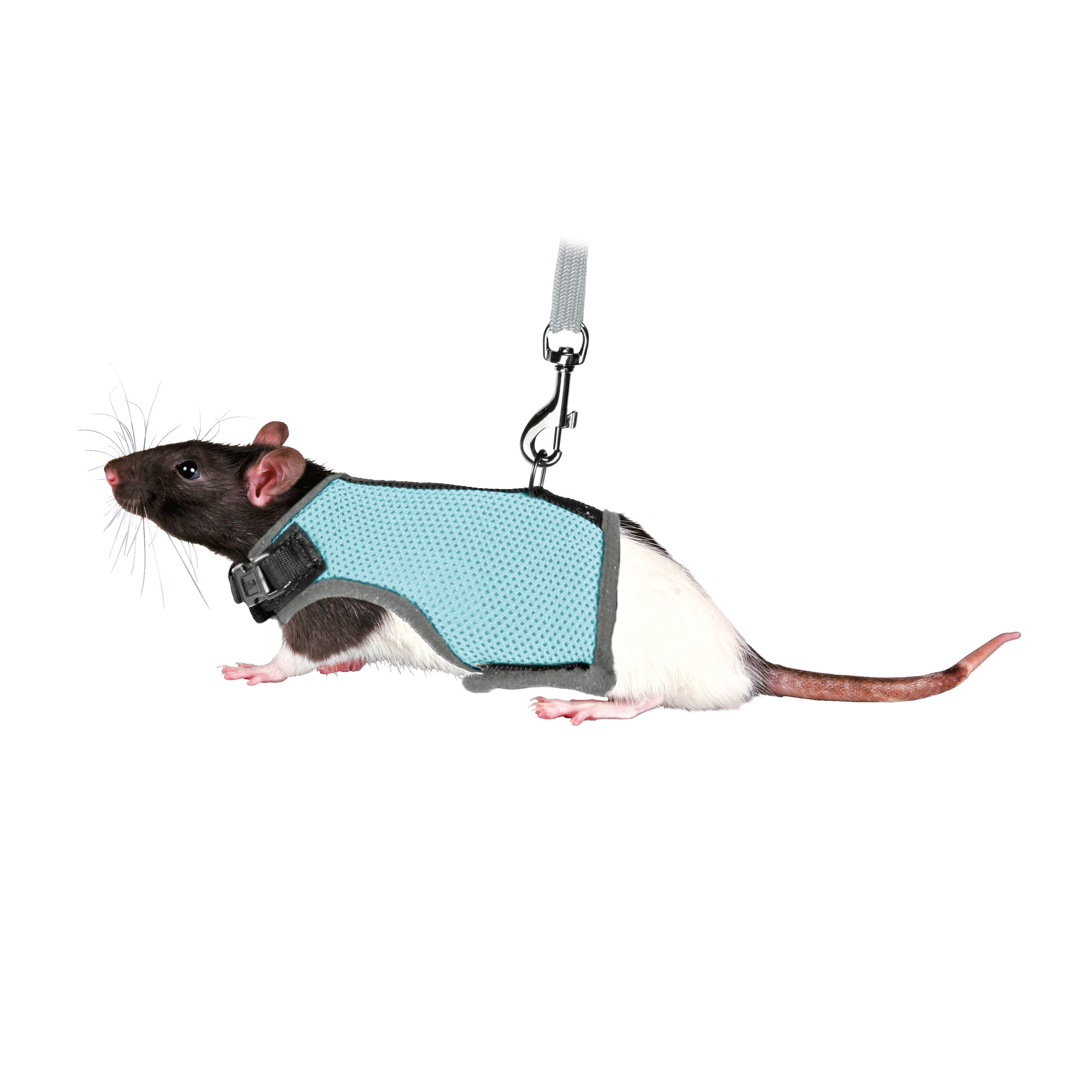 Trixie Soft Harness Rat