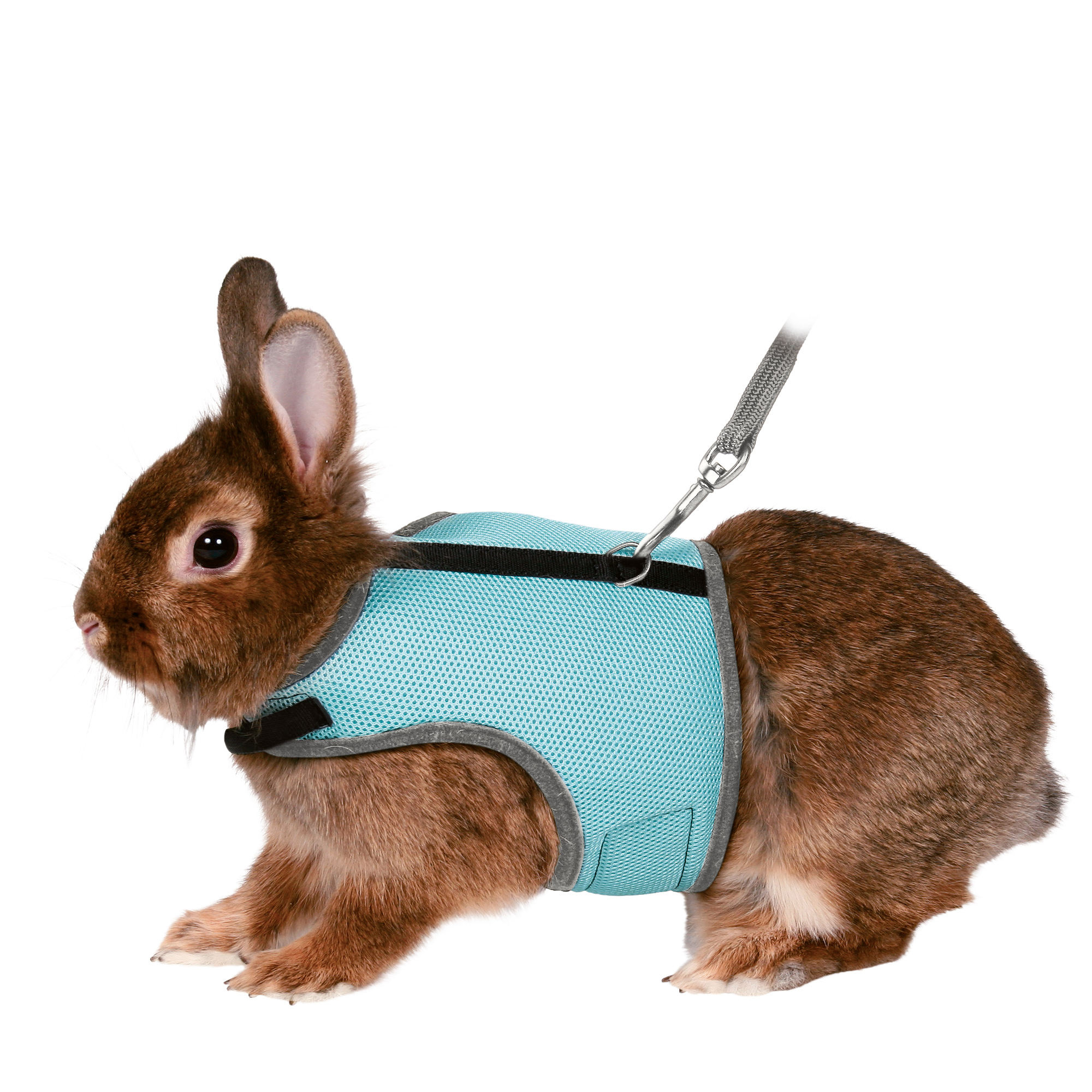 Trixie Soft Harness Rabbit