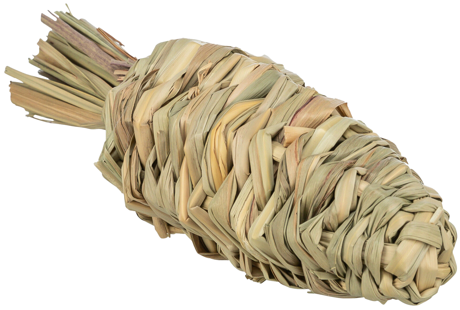 Trixie Grass Carrot 20cm