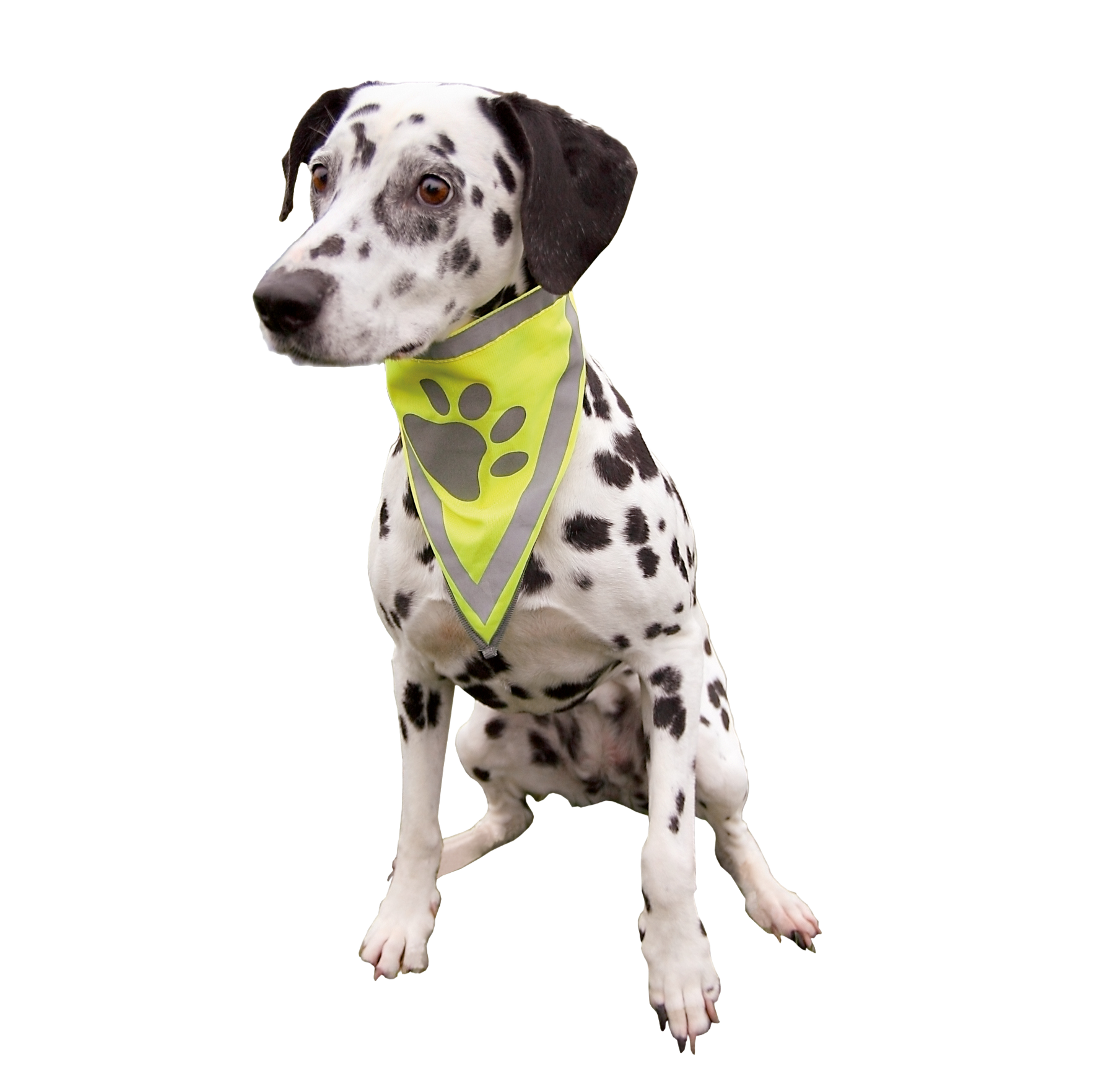 Trixie Reflective Neckerchief S–M: 29–42cm