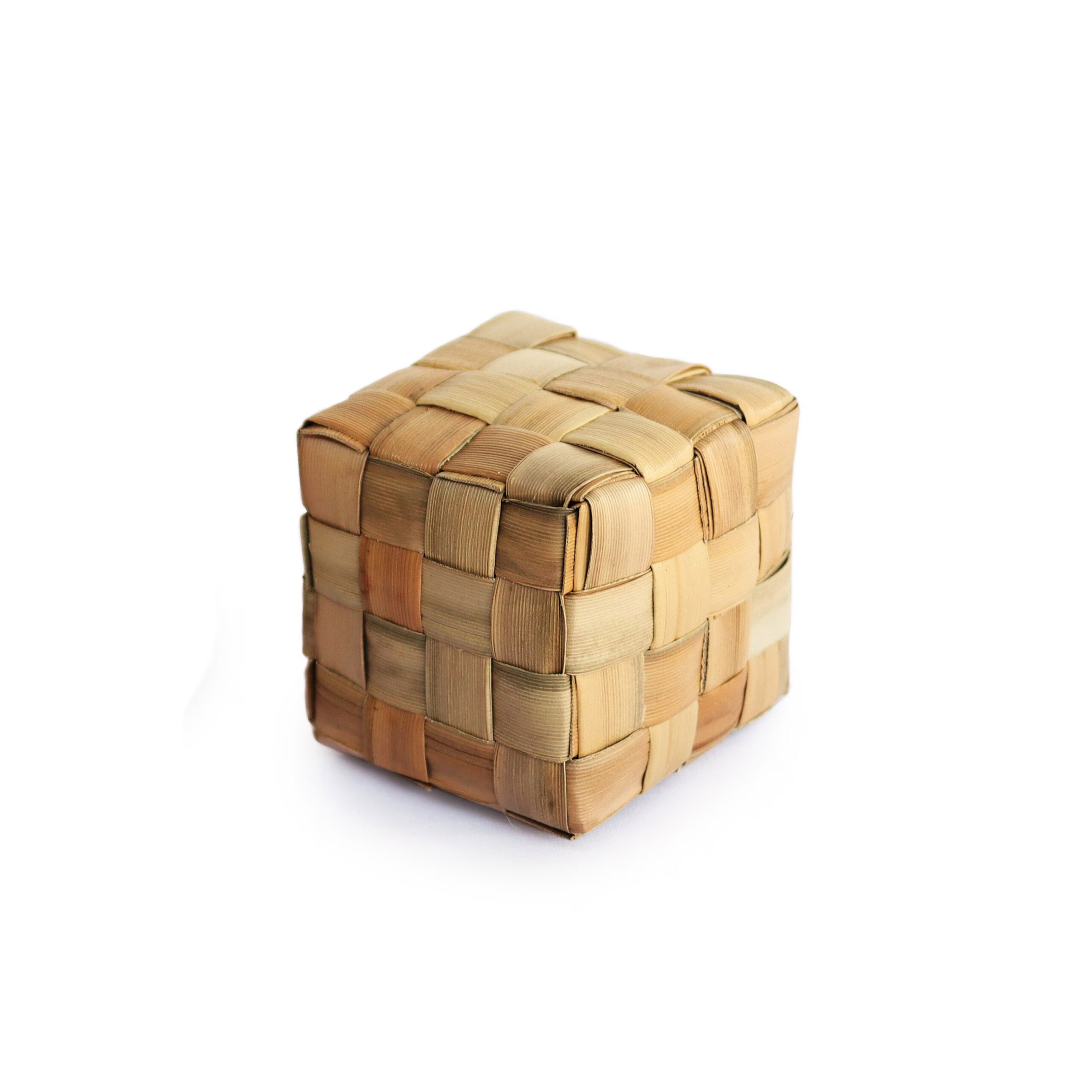 A&E Animal Cube