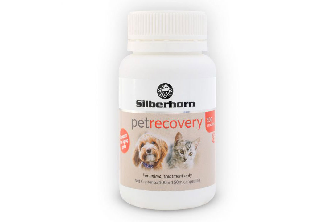 Silberhorn PetRecovery Glucosamine – 100 capsules