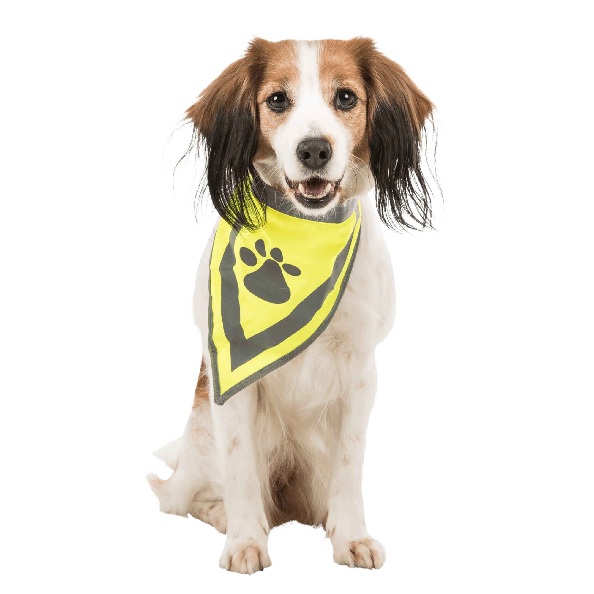 Trixie Reflective Neckerchief XS–S: 22–28cm