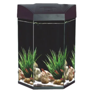 AA Hex Aquarium 70L – Black