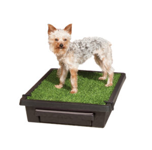 Petsafe The Pet Loo – Small