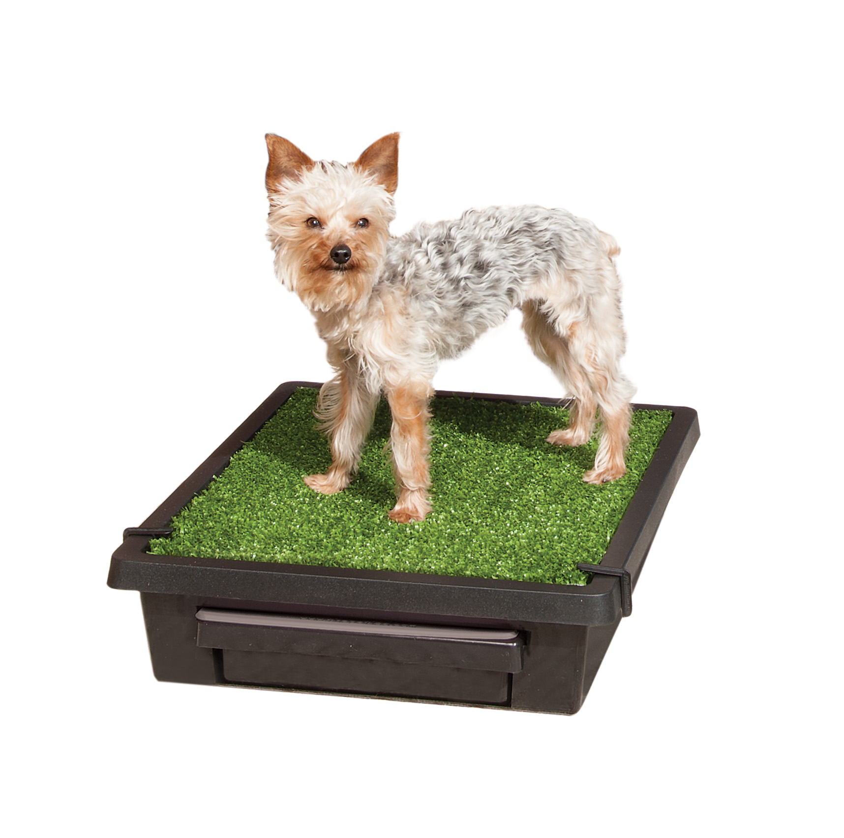 Petsafe The Pet Loo – Small