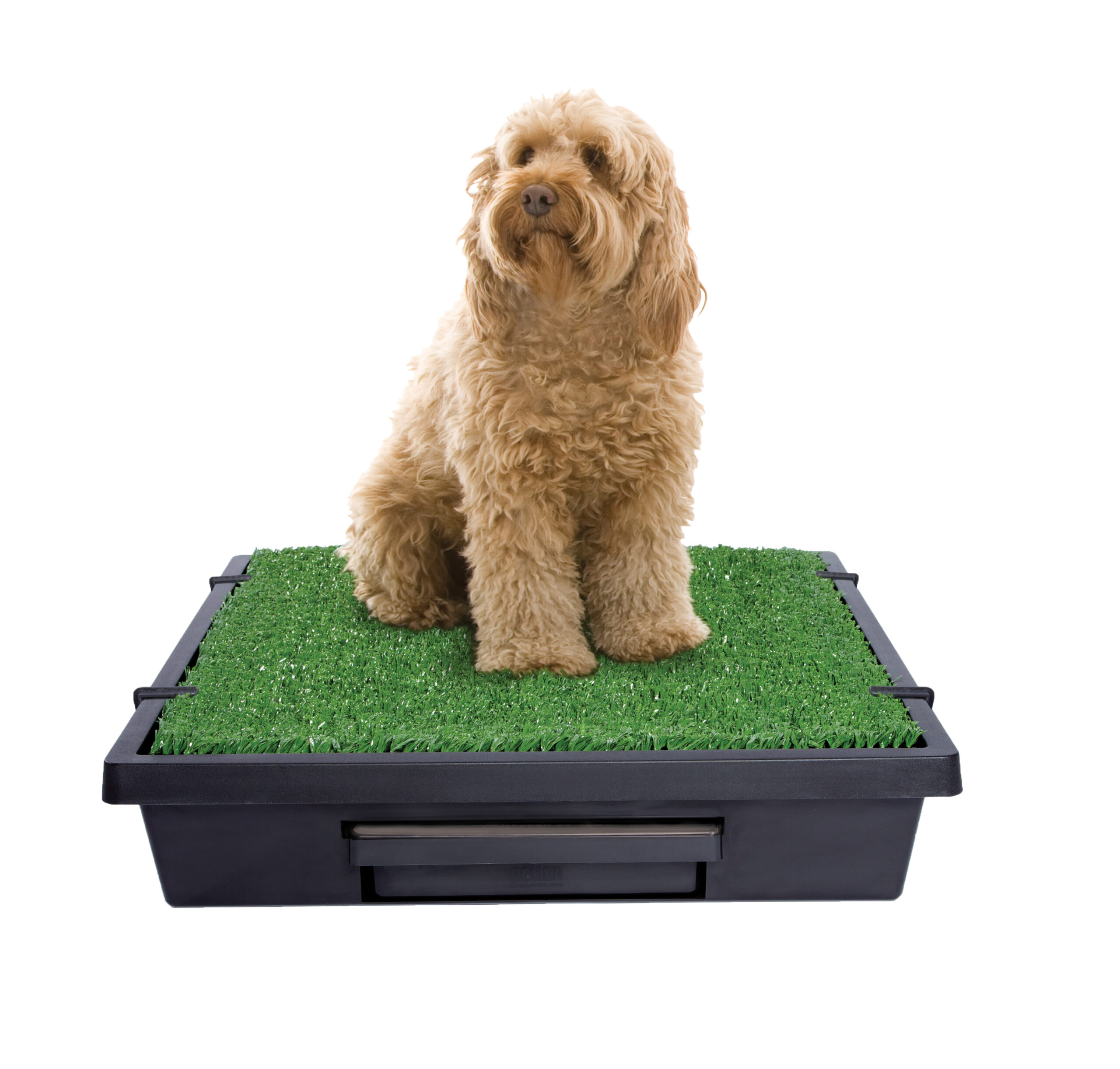 Petsafe The Pet Loo – Medium