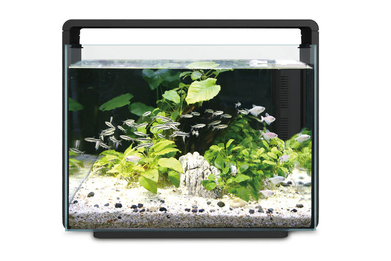 Hailea Aquarium 80L – Black