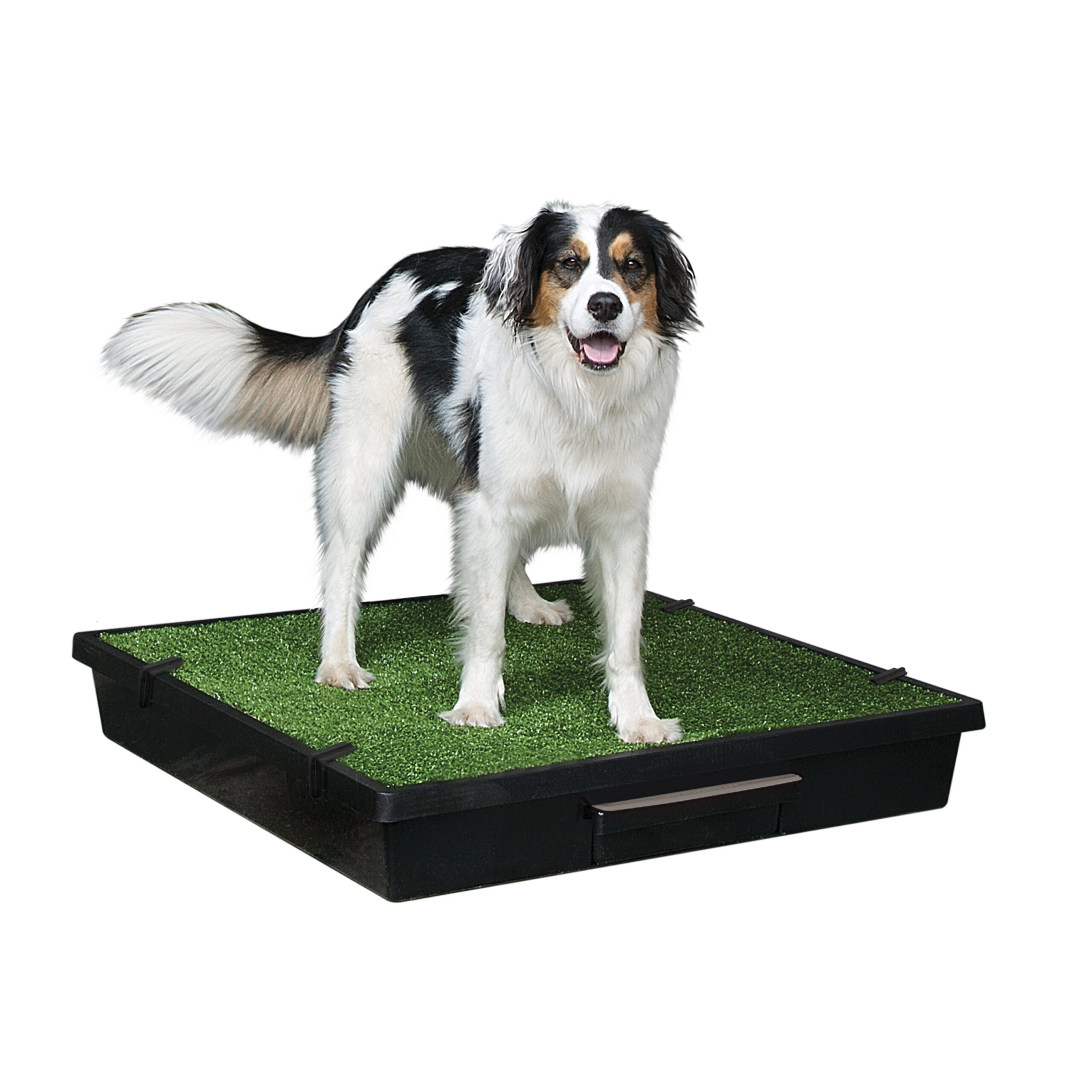 Petsafe The Pet Loo – Large (Original)