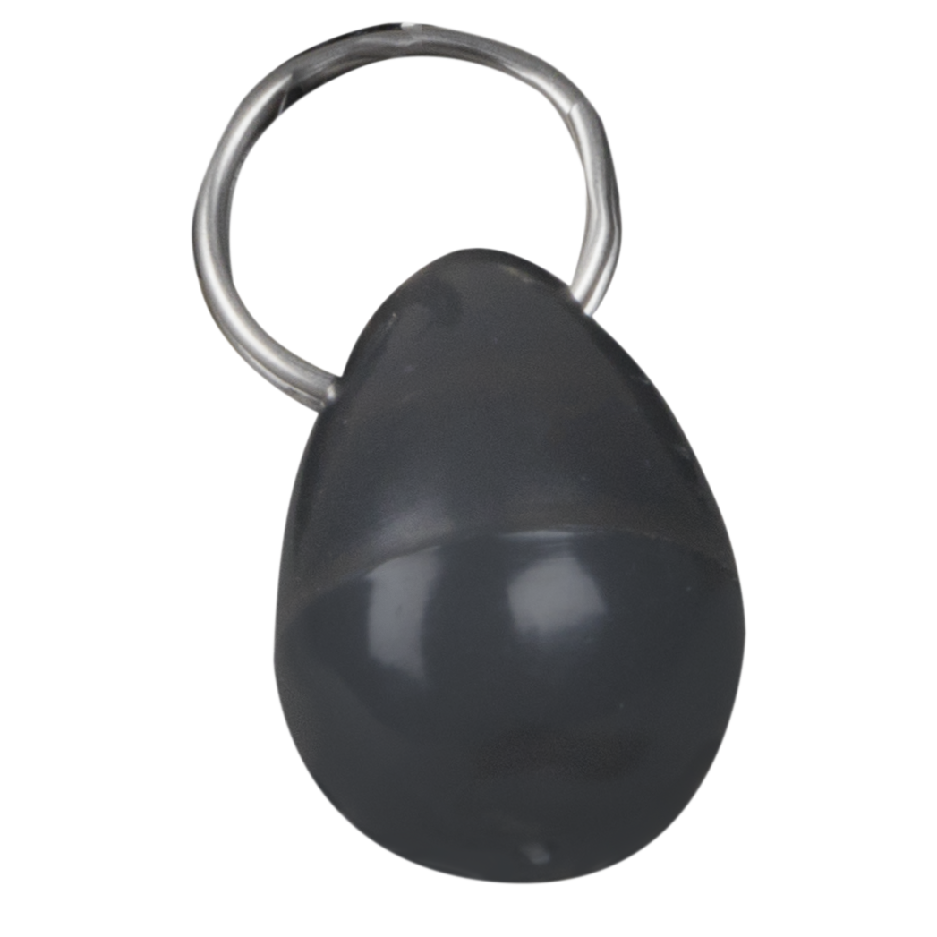PetSafe Staywell Mouse & Collar Key