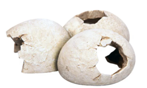 Aqua One Ornament Dinosaur Eggs 15.5x12.5x6cm