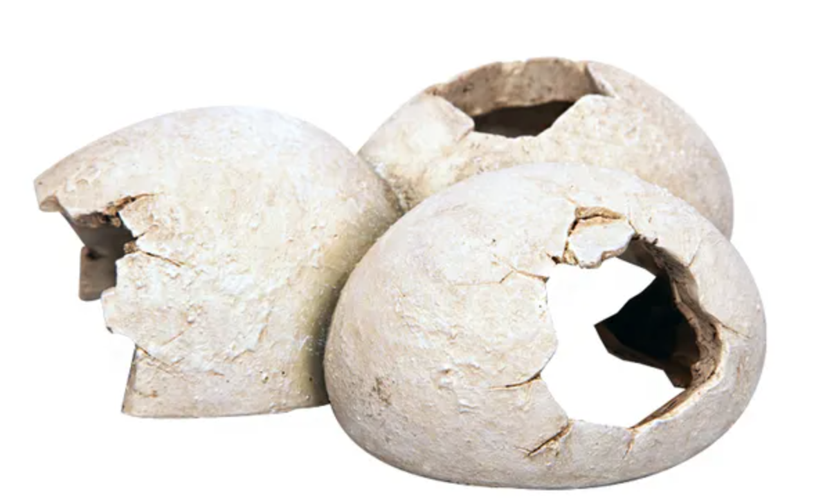 Aqua One Ornament Dinosaur Eggs 15.5x12.5x6cm