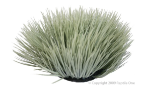 Reptile One Plant - Grey Spinifex Round 30cm