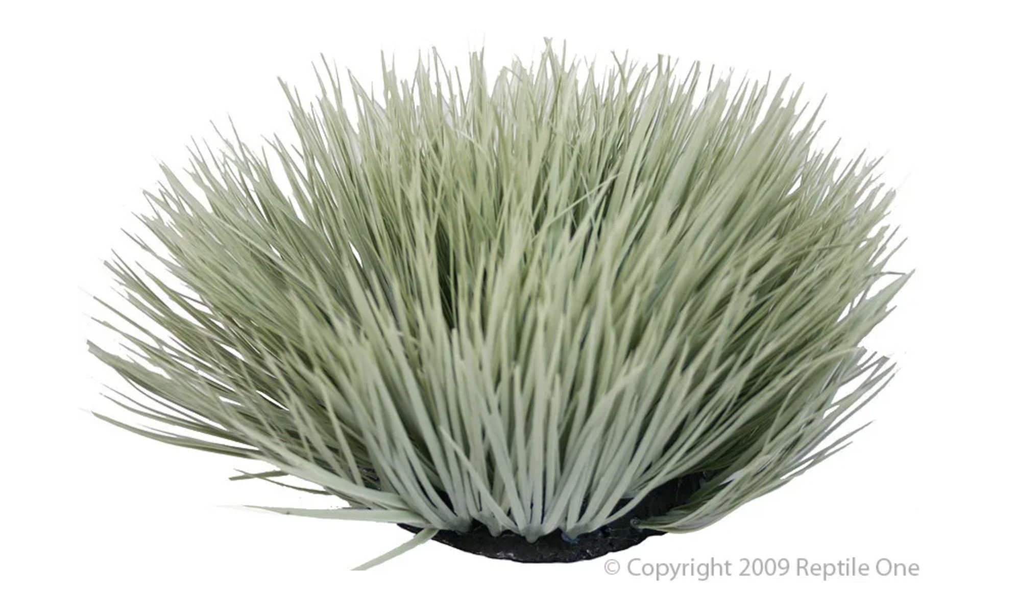Reptile One Plant - Grey Spinifex Round 30cm
