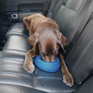 Kurgo Splash Free Bowl – Blue
