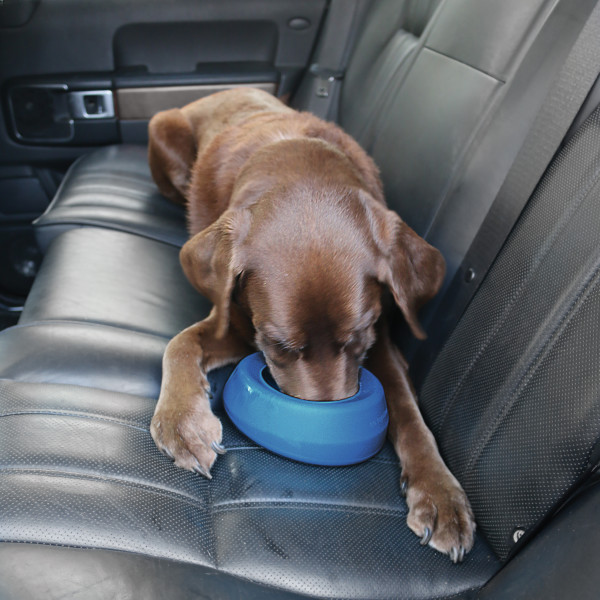 Kurgo Splash Free Bowl – Blue