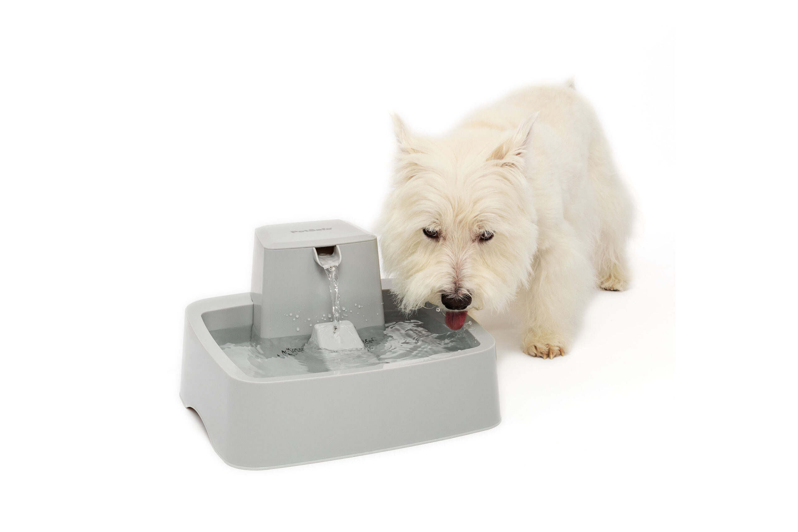 Petsafe Drinkwell Pet Fountain 3.7L