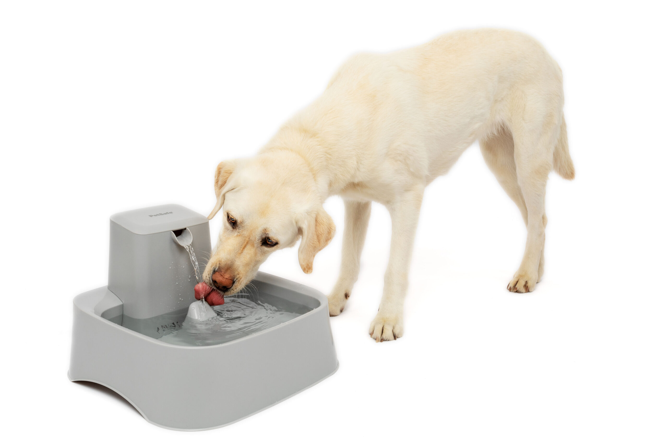 Petsafe Drinkwell Pet Fountain 7.5L
