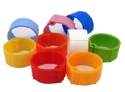 Sisal Plastic Leg Ring 12mm – Pheasant-Each