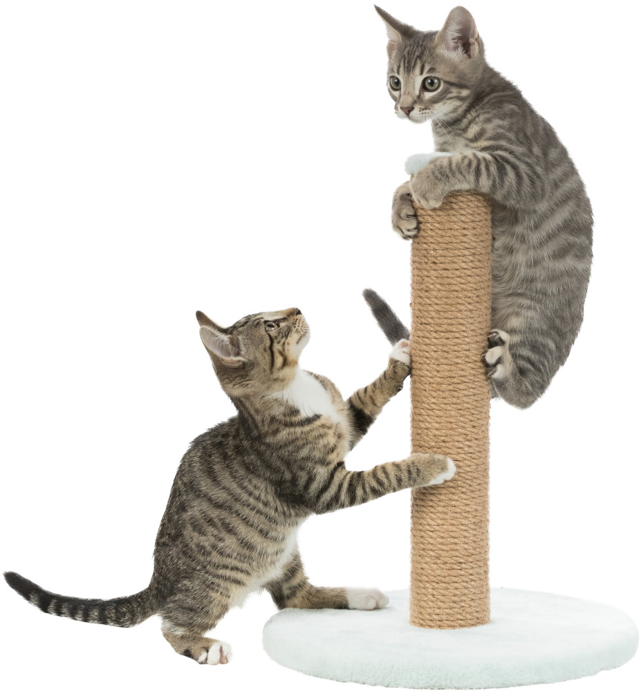 Trixie Junior Scratching Post 42cm – Mint