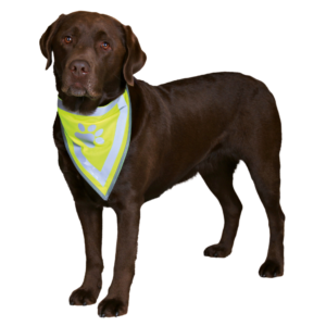Trixie Reflective Neckerchief L–XL: 43–60cm